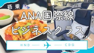 【ヨーロッパ旅行】ANA国際線ビジネスクラス搭乗記(羽田→フランスパリ)【2025年4月GW】