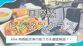 【初心者🔰必見!】マイルで国際線ビジネスクラスに乗る方法!!